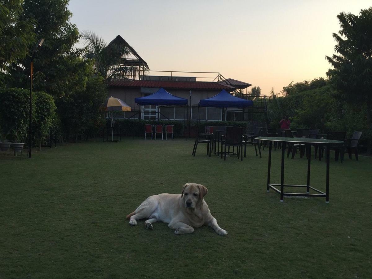 Ad Country Villa Noida Exterior photo
